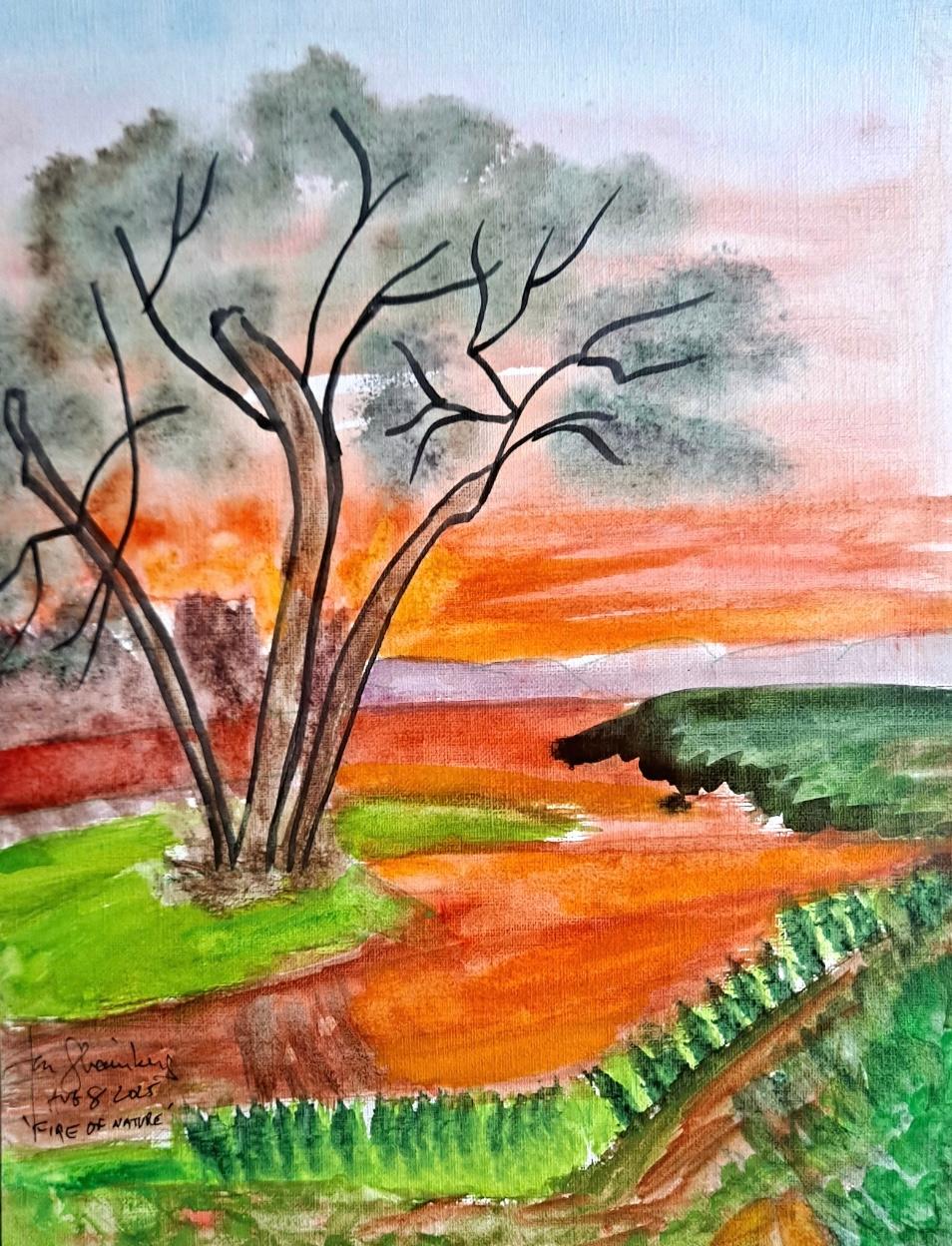 Abe Shainberg, Fire of Nature. CREDIT: Abe Shainberg